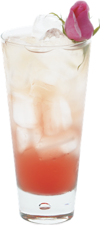 Rose  Tea and Soda