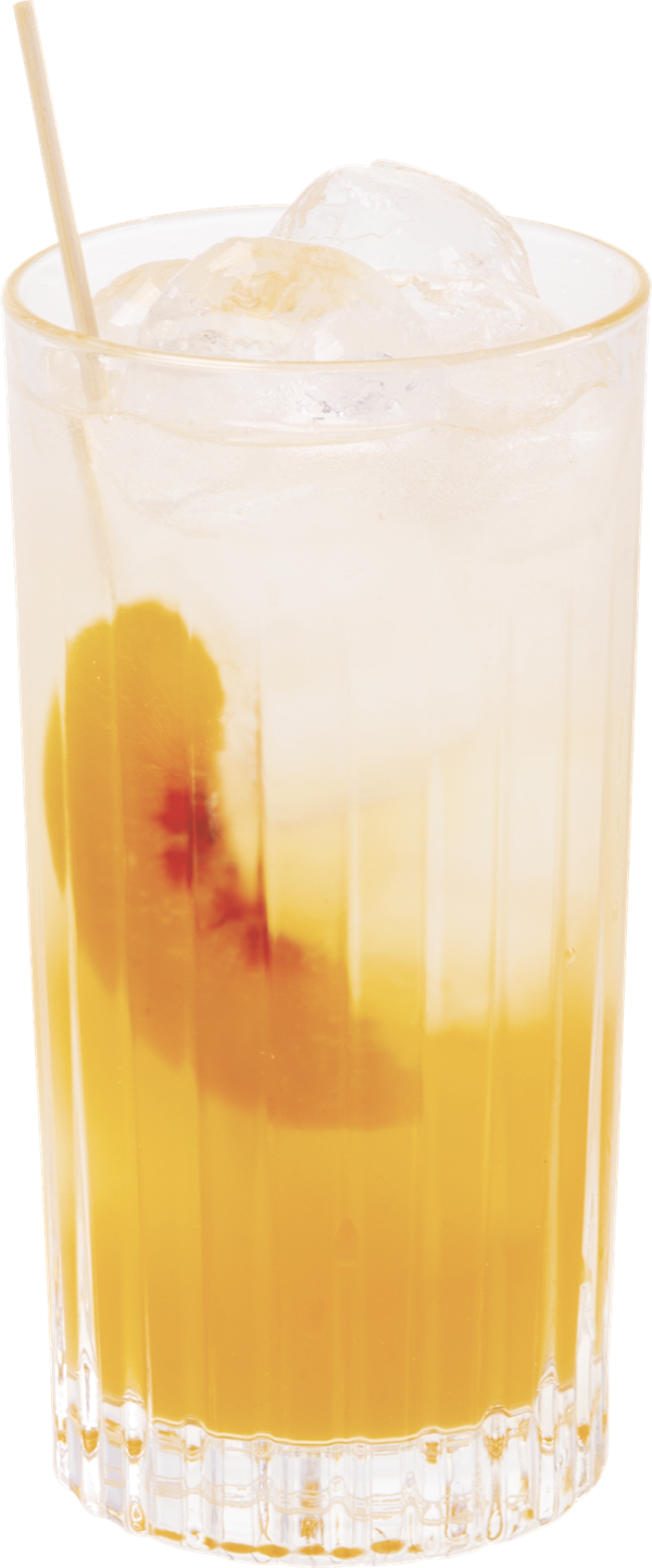 Peach Gin Tonic